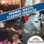 austin texas animal waste cleanup