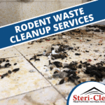 houston rodent waste cleanup houston rodent waste cleanup